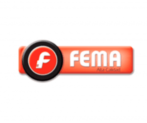 Fema web